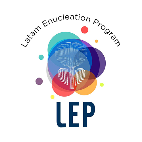 Partnerlogos 500x500px lep